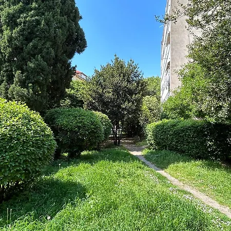 Nava