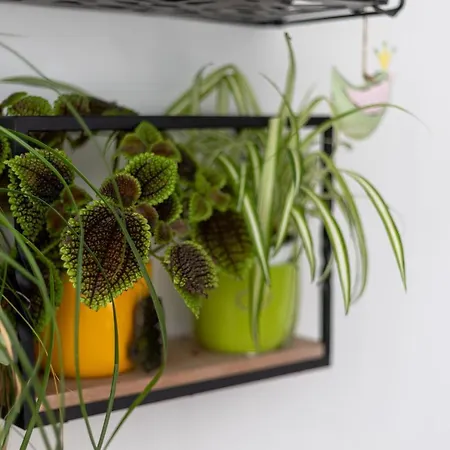 Nava In Center Of Lejlighed *